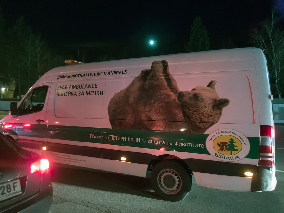 Bear ambulance with a live bear at serbian-bulgarian border