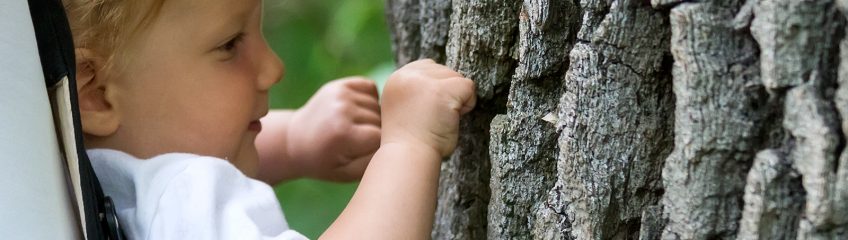 Perhaps she will one day be a treehugger. Padurea Domneasca National Park in Moldova.