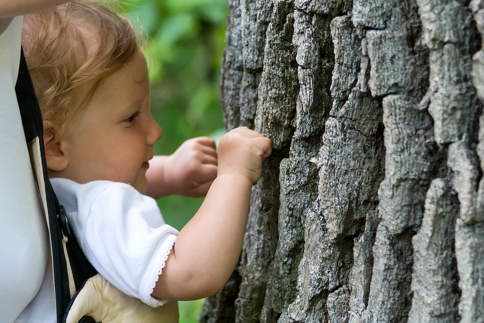 Perhaps she will one day be a treehugger. Padurea Domneasca National Park in Moldova.