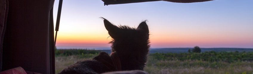 Zadnji večer v Moldaviji  bivak na hribu nad trtami